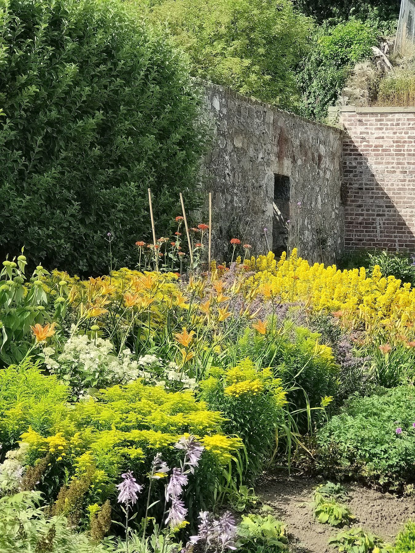 A planted border running along the foot of the old garden wall